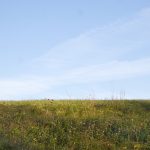 How to Prepare Your Property for Pole Barn Builders