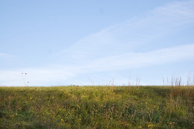 How to Prepare Your Property for Pole Barn Builders